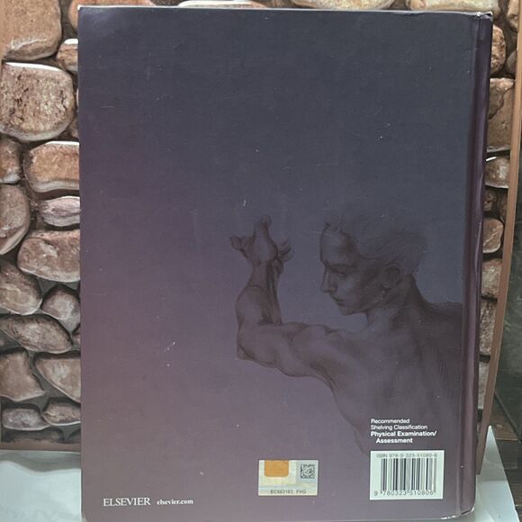 jarvis physical examination and health assessment - Picture 3 of 4